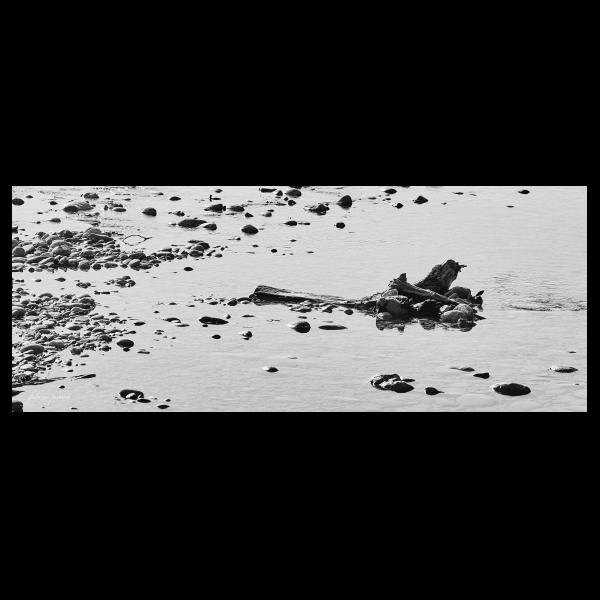 PHOTO84, CLUB, 84 , LUBERON